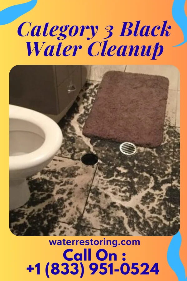 Category 3 Black Water Cleanup in Goodyear Village, AZ